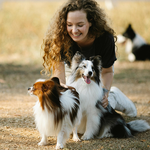 taking care of pets